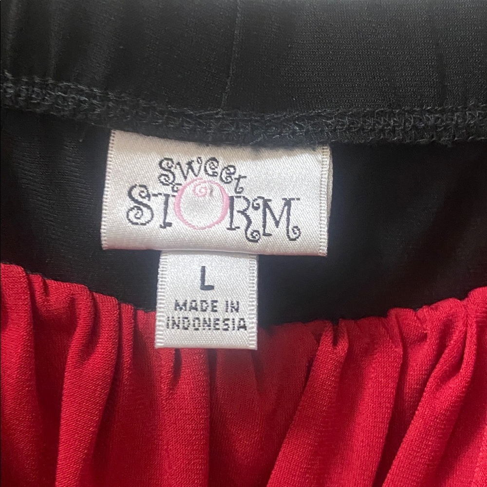 Sweet Storm Black and Red Mini Dress - Picture 2 of 3